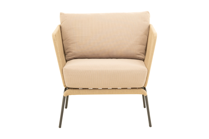 Loungeset Lion