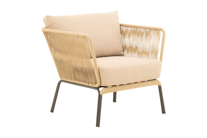 Loungeset Lion